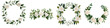 © Nitchalee N. - Hand painted flower crown, A collection of floral wreaths featuring elegant white roses and green foliage, arranged in various circular designs.