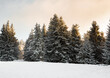 © Simplementbeau. - Paysage de sapins recouverts de neige en montagne, manteau blanc de neige au sol au premier plan et rayons de soleil éclairant la cime des sapins, ciel orangé de fin de journée