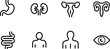 © mstMazeda - Collection of simple outline icons representing human organs and body parts isolated on a transparent background for medical and educational purposes