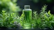 © rifai_art - Clear glass bottle holding green liquid, nestled among diverse fresh green herbs