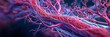 © id512 - Wide banner illustration of human blood vessel network with flowing red blood cells. Hyperrealistic medical anatomy background showing arteries veins and capillaries in macro view