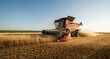 © Dusan Kostic - Combine harvester in field wheat