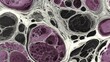 © DesignSells - Microscopic stained tissue pattern showing cellular structures