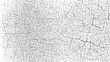© appl - Cracked paint texture with a network of fine fissures and irregular polygonal shapes on a white surface evoking a sense of age decay and weathered imperfection for artistic use
