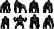 © MDKANAL - Gorilla silhouettes collection, powerful ape poses, wildlife animal illustration, black vector set, primate character design, isolated on white background
