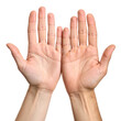 © MyIsolated - closeup of open bare hands on praying or asking gesture isolated on white background