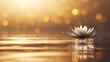 © Helen-HD - A lotus flower rests on the surface of calm water while soft light shines in the background, creating a gentle atmosphere at sunset