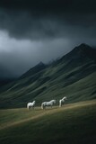 Icelandic horses in the mountains, cloudy day, landscape photography, green hills.