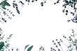 © Rasel's Design - Botanical Frame with Green Leaves and Lavender on White Background.