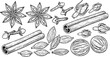 © salma - Hand Drawn Ramadan Spices Set Vector Illustration