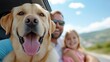 © Design Depot - Family weekend getaway in a car with their happy Labrador dog