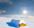 © Yuriy Kulik - tree log among snowbound plain at the sunny day, winter deforestation scene