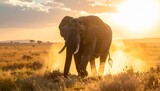 African elephant walking through savannah at sunset, kicking animated movie dust