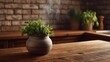 © Bussakon - Gentle steam rises from a fresh herb plant in a rustic pot set on a warm wooden kitchen counter with a brick background