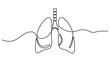 © UzzalChandra - Continuous one line drawing of lungs medical anatomical organ isolated on white background. Continuous one line editable stroke of human lungs. Single line art style lungs vector illustration