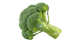 Fresh green broccoli isolated on transparent background PNG, healthy vegetable for cooking and vegetarian diet