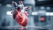 © Pichkan - Advanced Medical Computing for Next Generation Heart Visualization