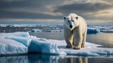 A majestic polar bear on an ice floe, highlighting the beauty and vulnerability of Arctic wildlife.