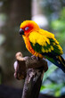 © AnnisaNursita - Colorful parrot perched on a branch in natural surroundings.