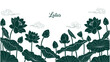 © GW - green lotus flowers and leaves on white