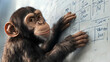 © Janie - Playful, focused ape brainstorming marketing strategy. This clever chimp writes business plan and new idea on whiteboard