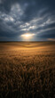 © Jim - Dramatic Storm Over Wheat Field, Dramatic Storm Clouds Gathering Over Golden Wheat Field. Moody Landscape, Nature's Power, Impending Weather, Agriculture, Contrast.
