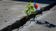 © SubaDesigns - A vibrant, dual-colored flower with exposed roots defiantly emerges from a deep fissure in rigid concrete, illustrating life's profound resilience, the relentless pursuit of growth