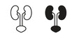 © Joss - Urology icon