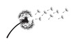© Sayan - Minimal silhouette of a dandelion stem with a partially intact seed head, delicate seeds drifting to the right in a gentle breeze.