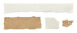 © Vitalo4ok - Collection of mixed torn paper pieces including white paper strip, kraft paper, grid note and small scrap with paperclip on transparent background