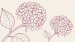 © Georgking - Minimalist Hydrangea Line Art Drawing Elegant Floral Outline Illustration For Spring Wedding Invitation And Beauty Branding