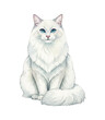 © slowbuzzstudio - Fluffy white cat with piercing blue eyes sitting peacefully looking straight ahead watercolor art