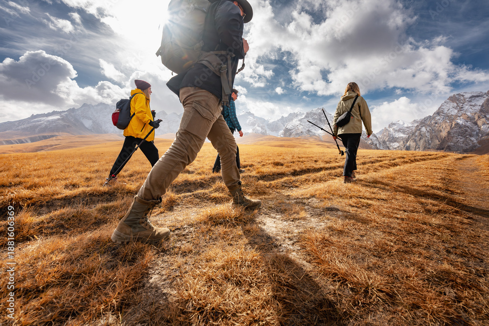 Group of four young active hikers walks together in mountains area