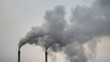 © fotofotofoto - smoke coming from the factory chimneys against a gray sky