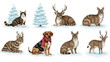 © ShafiqUrRehman - Collection of winter animals and trees including cats dogs and deer in a charming illustration style for holiday and nature themes