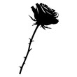 © Canah - Black Silhouette of a Single Rose 2.