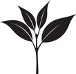 © vector element - Vector silhouette of a plant with four leaves sprouting from a central stem illustration