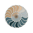 © dinny - Intricate spiral design of a nautilus shell with soft color gradients on a white background