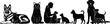 © Shamim's World - Pet care silhouettes showing cats and dogs with owner, animal companionship, love, and domestic life black vector illustration