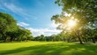 © backup_studio - Green grass field and sun shining through trees in park. Nature landscape outdoor background for relaxation and refreshing concept.