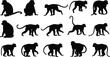 © Vector Sifat - Monkey silhouette set in walking, sitting and climbing poses, primate animal collection, black wildlife vector icons, jungle mammal shapes isolated on white.