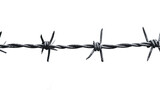  thin strands of barbed wire stretched horizontally, strands of barbed wire isolated  on solid white background