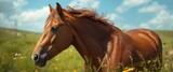 Beautiful horse among animals with colorful blur effects