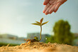 © noppadon - A young woman is gently watering a new green seedling in dry soil with her hands, against a backdrop of a clear blue sky—a symbol of growth, the conservation of nature, and the beginning of ecological