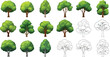 © Tm Studio - a collection of various green trees and their outline drawings on white background
