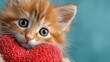 © Vasiliy - Cute ginger cat with a heart in a paw. Valentine's day concept. Love for pets. A card for Valentine's Day or for animal shelters
