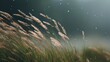 © Ruslan - Close-up of tall grass blowing in the wind, with blurred background and scattered water droplets