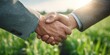 © Jittapon - Close-up of a business handshake in a sunny green field, symbolizing a successful agricultural partnership and sustainable business collaboration