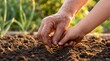 © peacefy - Hands working together planting seeds, symbolizing growth, care, and the transmission of knowledge between generations.