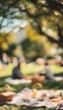 © decorator - Serene picnic scene evokes casual leisure a warm sunny park bathed in gentle light and soft bokeh